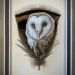 F-Covert-Feather-Painting-Barn-Owl-2-small-file